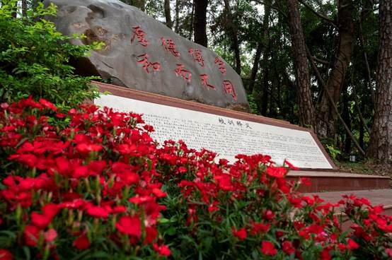 说明: C:\Users\Administrator\Desktop\花满相思\_DSC5780.jpg