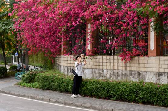 说明: C:\Users\Administrator\Desktop\花满相思\DSC_8044.jpg