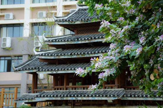说明: C:\Users\Administrator\Desktop\花满相思\DSC_1256.jpg