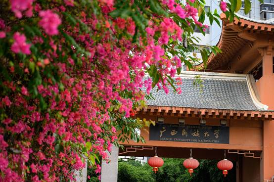 说明: C:\Users\Administrator\Desktop\花满相思\_DSC5835.jpg