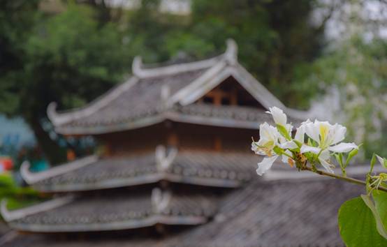 说明: C:\Users\Administrator\Desktop\花满相思\DSC_0718.jpg